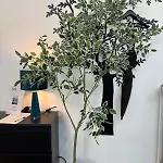Apartamento Gogh